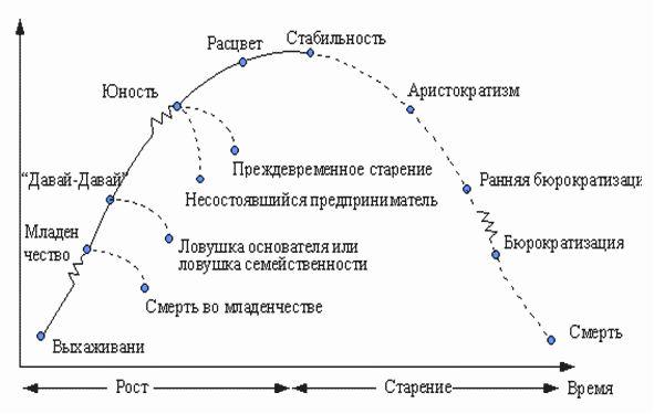 Модель жизненного цикла организации Этапы жизненного цикла организации